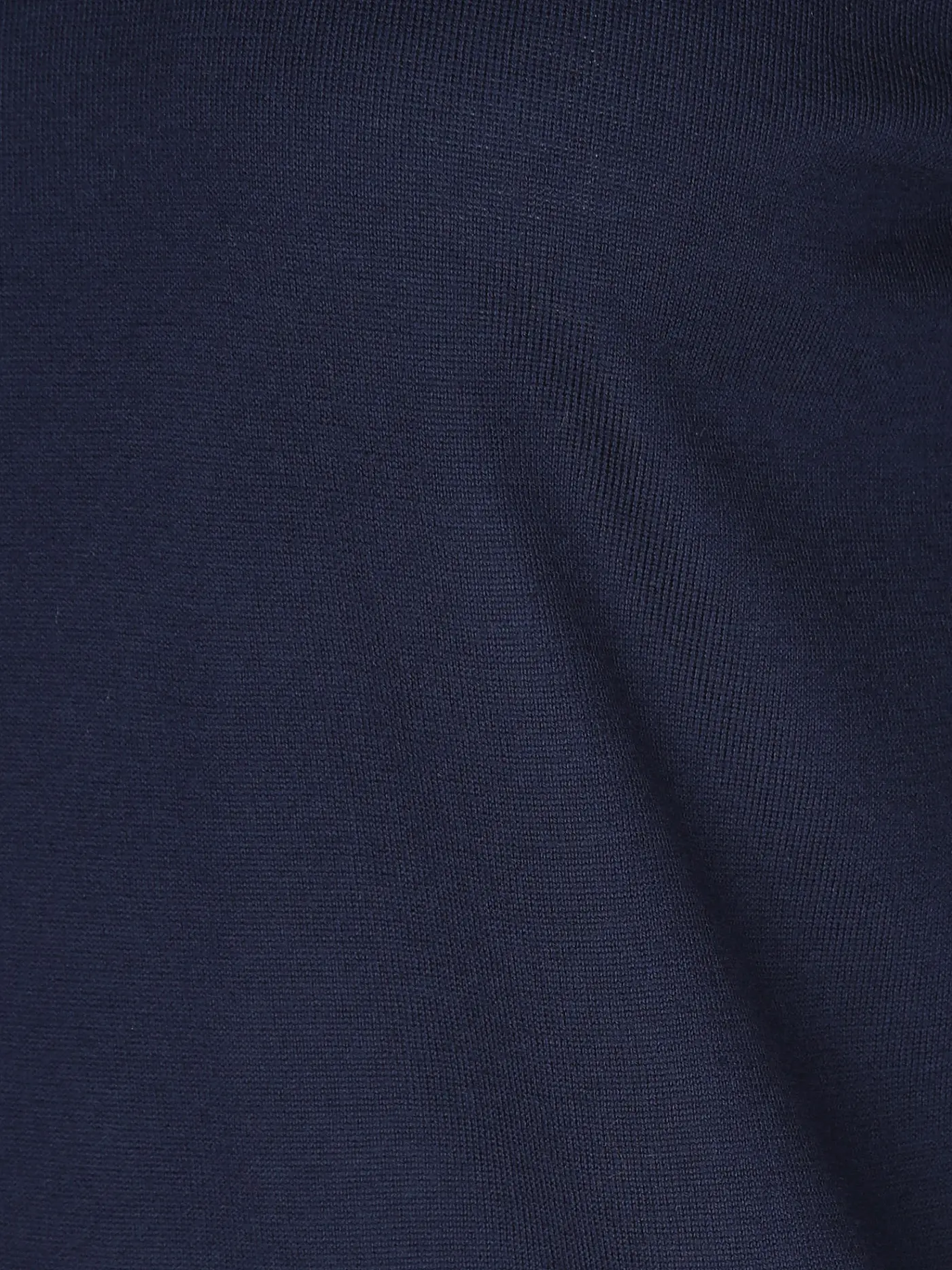 ASPESI | Rollkragenpullover  | dunkelblau