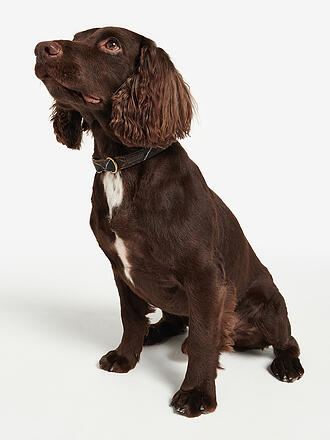 BARBOUR | Hunde Halsband Tartan