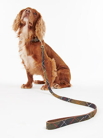 BARBOUR | Hunde Leine Tartan