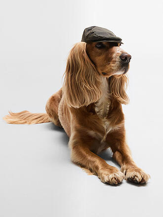 BARBOUR | Hunde Kappe