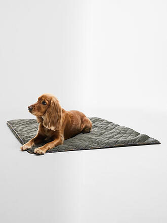 BARBOUR | Hundedecke
