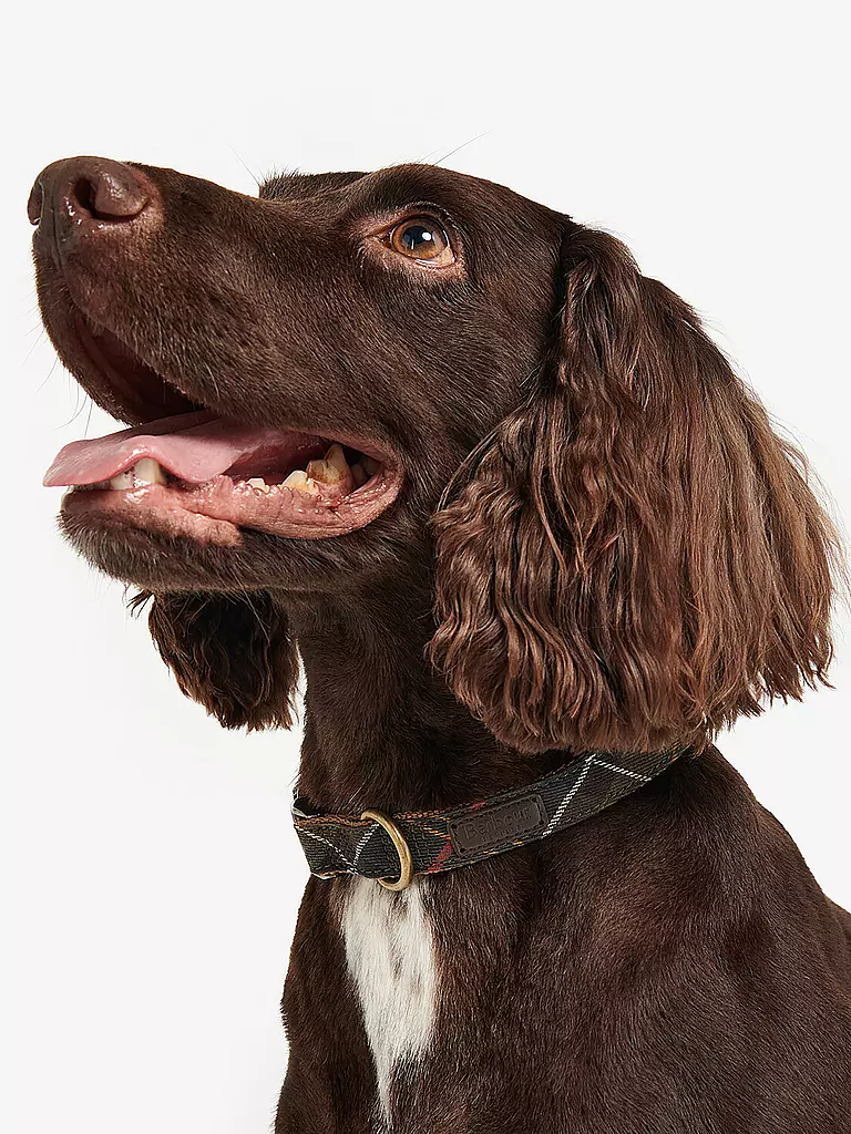 BARBOUR | Hunde Halsband Tartan | olive