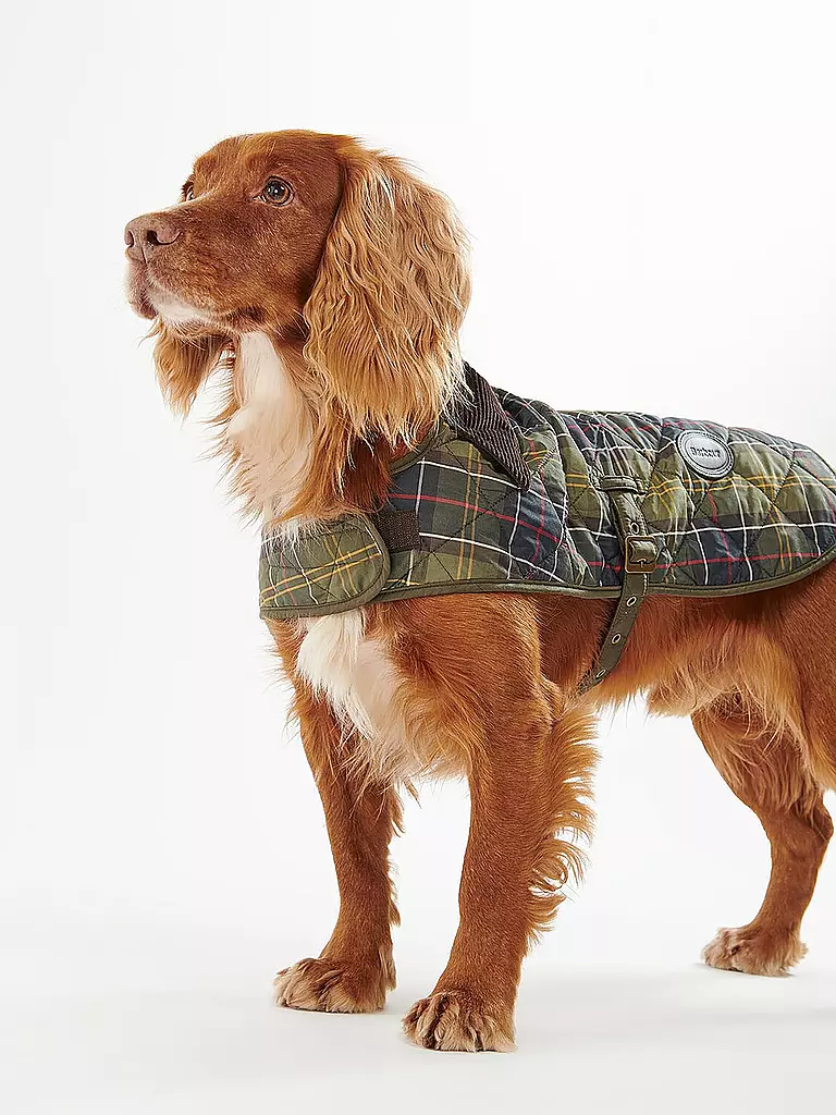 BARBOUR | Hunde Jacke Tartan | olive
