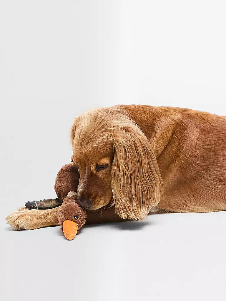 BARBOUR | Hundespielzeug FLYING DUCK | braun