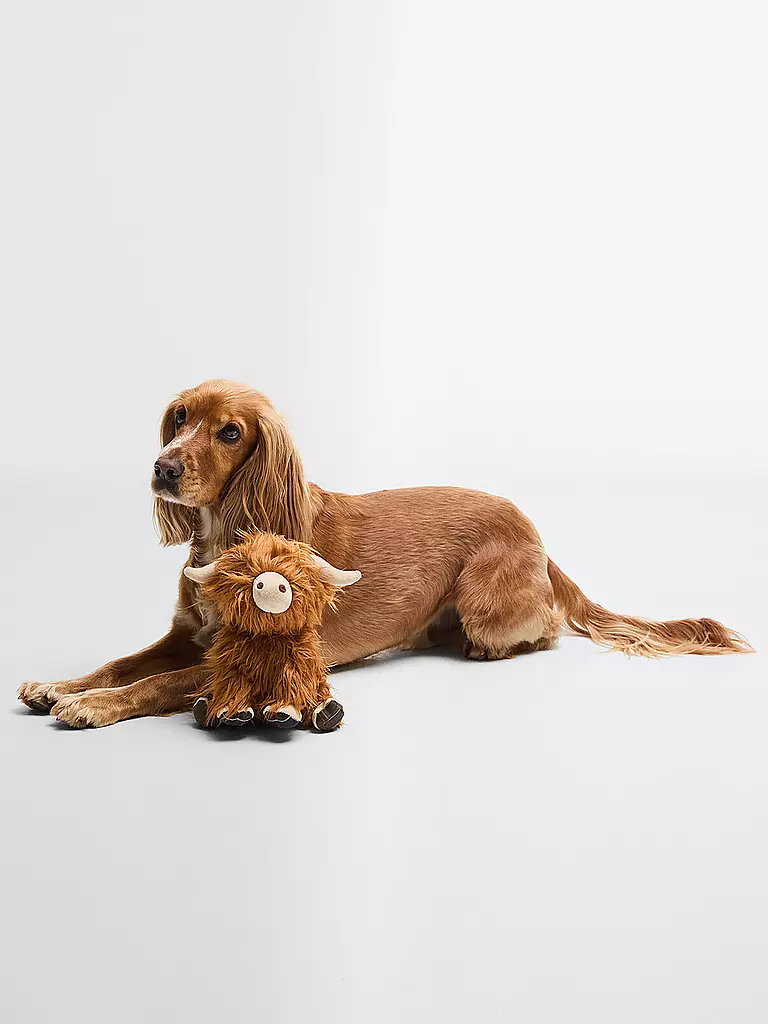 BARBOUR | Hundespielzeug HIGHLAND COW | braun