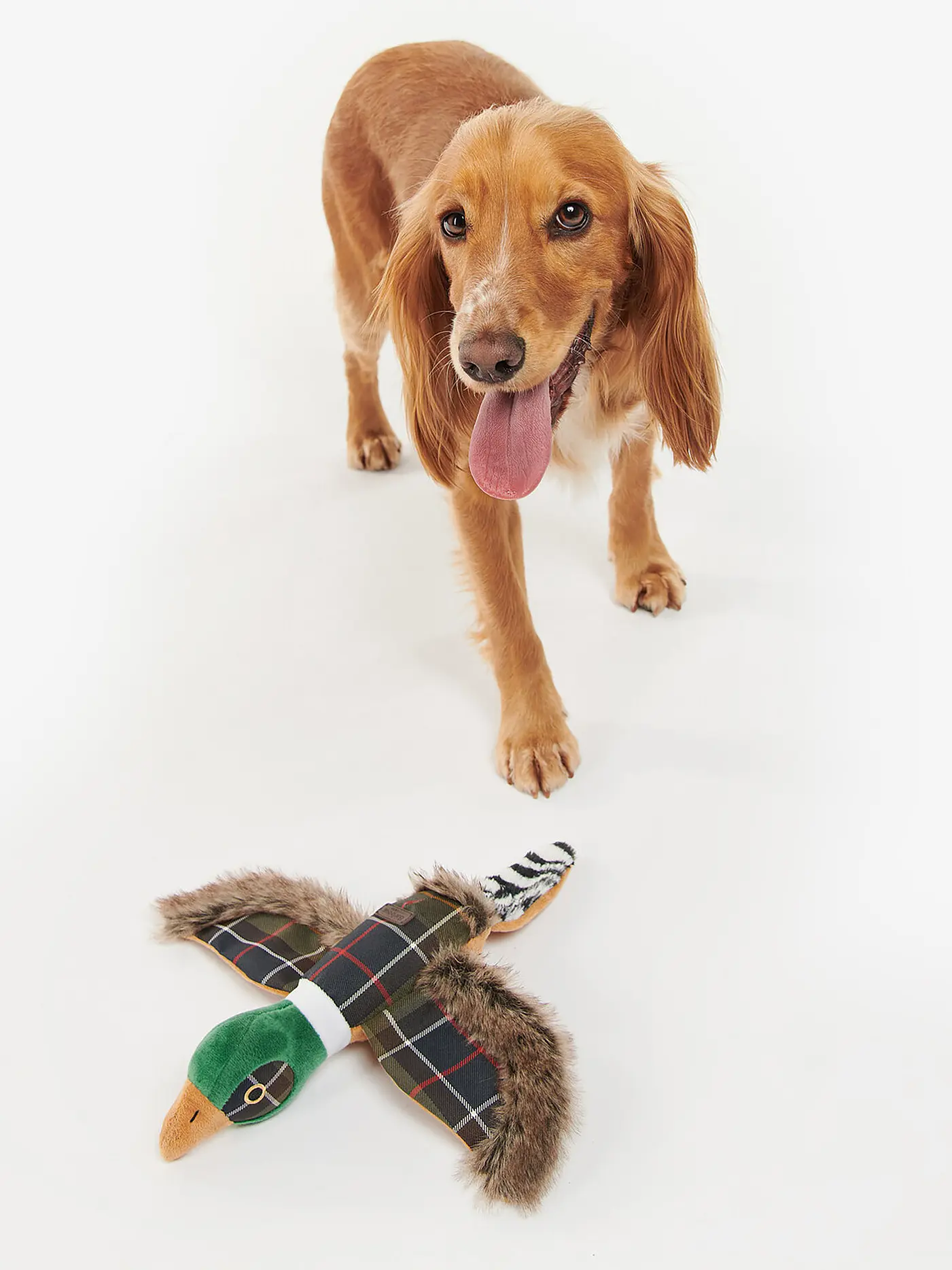 BARBOUR | Hundespielzeug PHEASANT | olive