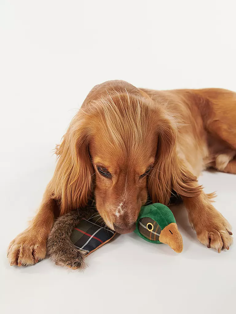 BARBOUR | Hundespielzeug PHEASANT | 