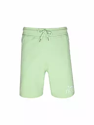 BARON FILOU | Shorts  | hellgrün
