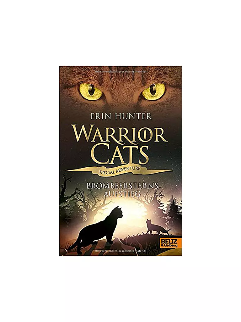 BELTZ & GELBERG VERLAG | Buch - Warrior Cats - Brombeersterns Aufstieg  | keine Farbe