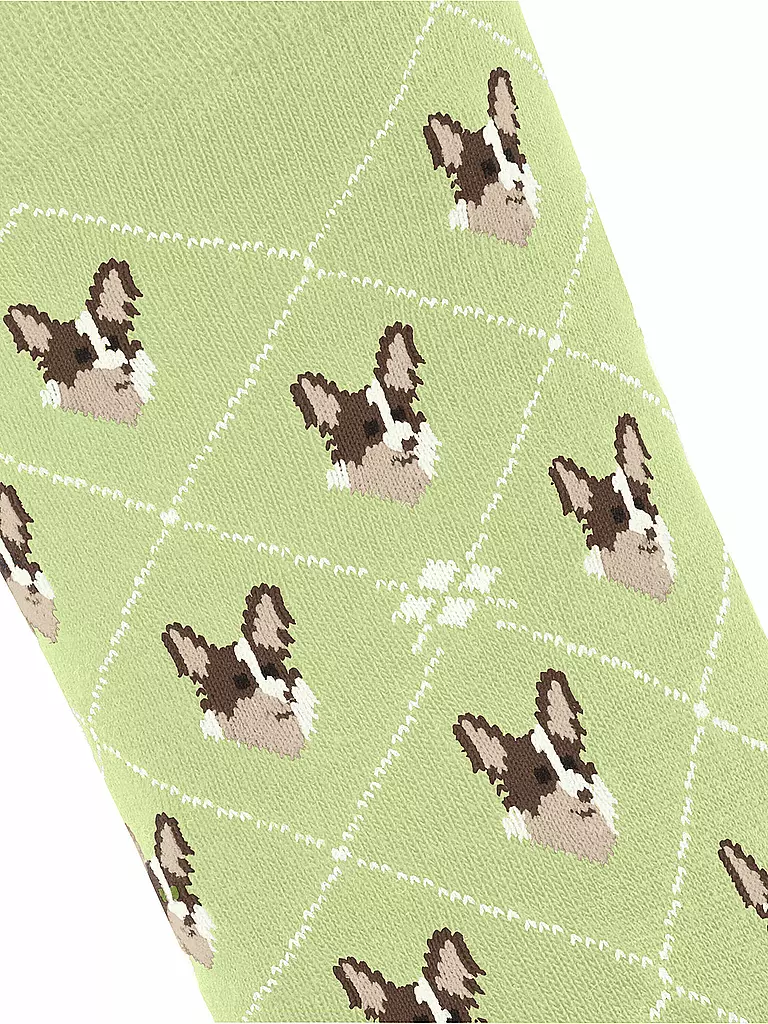 BURLINGTON | Socken Gr 36-41 lemon | hellgrün