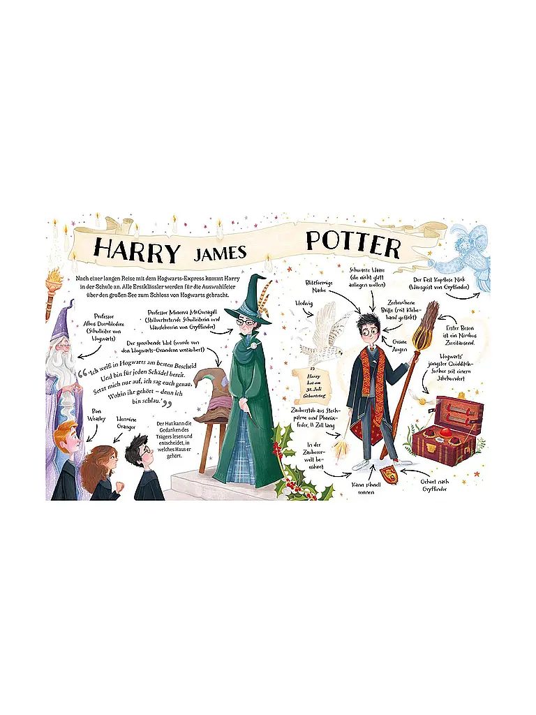 CARLSEN VERLAG | Buch - Potter Guides: Harry Potter | bunt