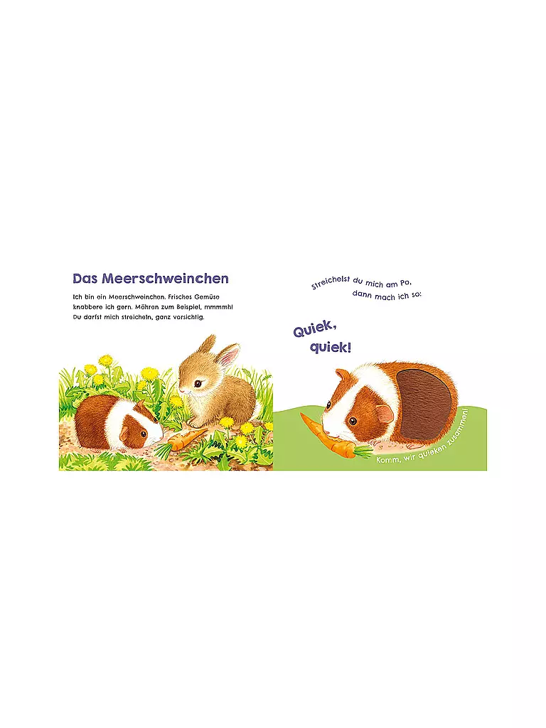 CARLSEN VERLAG | Hör mal, wie ich miauen kann (Mein erstes Streichel-Soundbuch 2) | keine Farbe