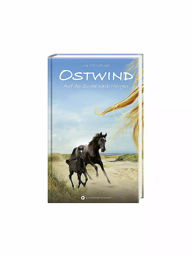 CBJ/CBT VERLAG | Buch - Ostwind - Auf der Suche nach Morgen (Gebundene Ausgabe) | transparent