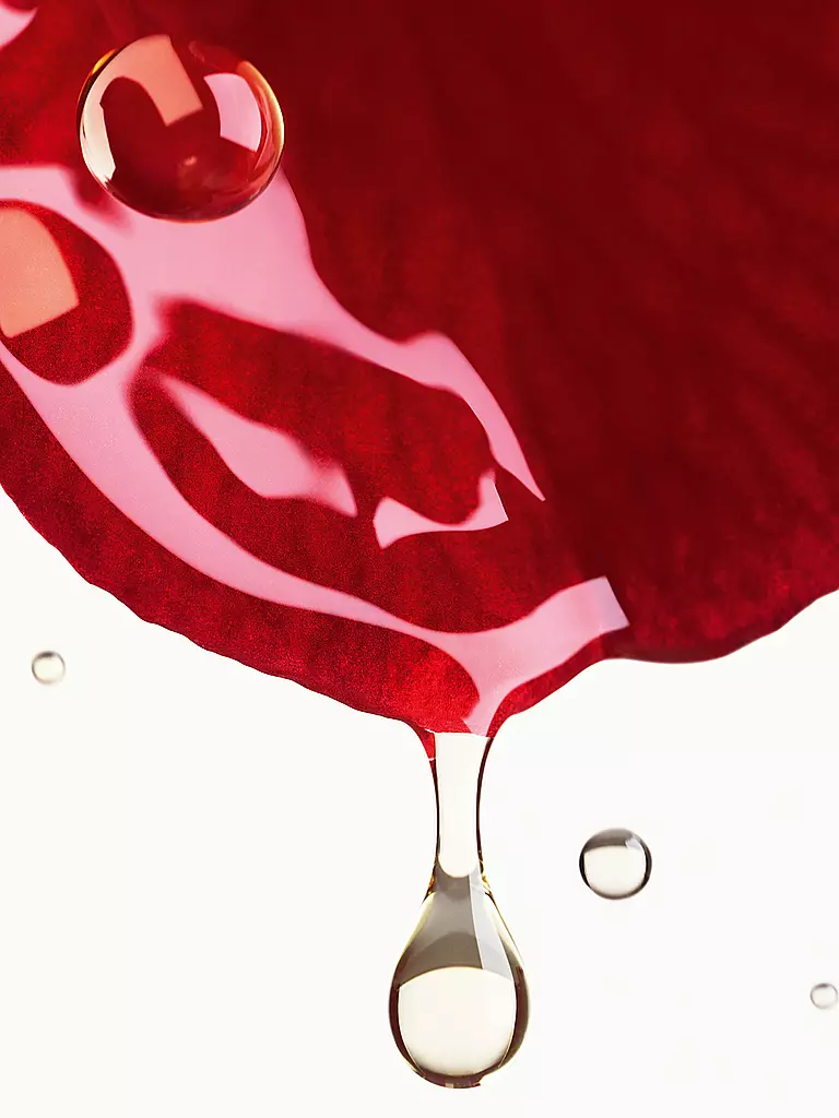 CHANEL | CREME MIT ROTER KAMELIE – NACHFÜLLUNG - POLSTERT AUF – GLÄTTET – SCHÜTZT 50ML | keine Farbe