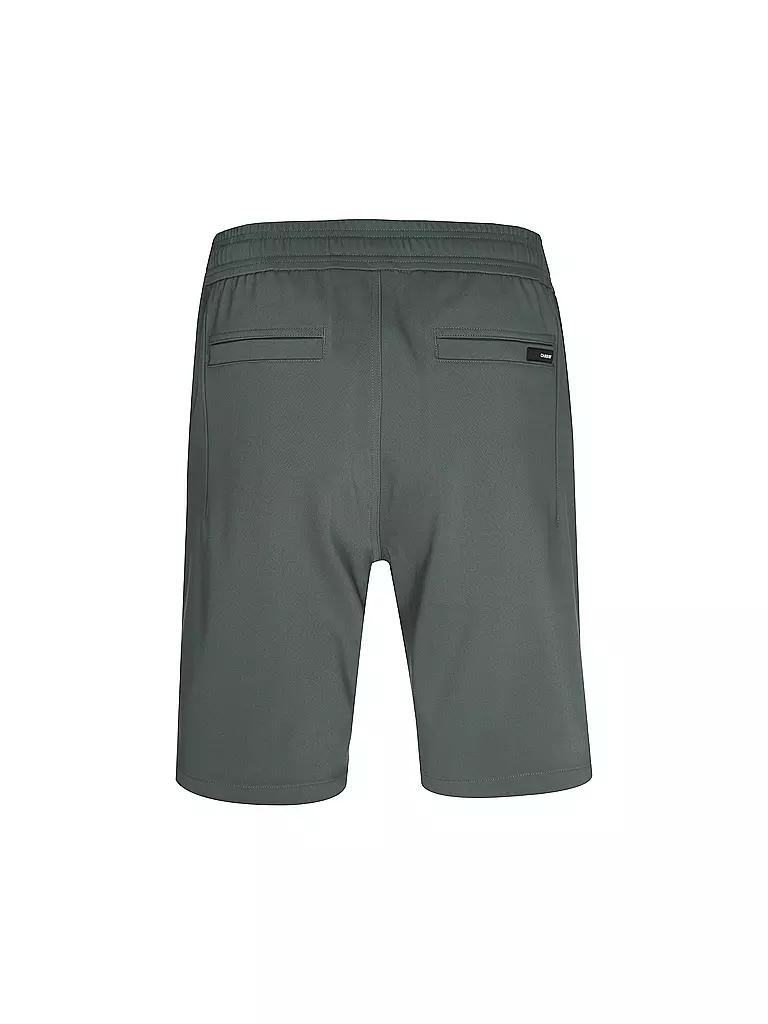 CHASIN | Shorts | grün