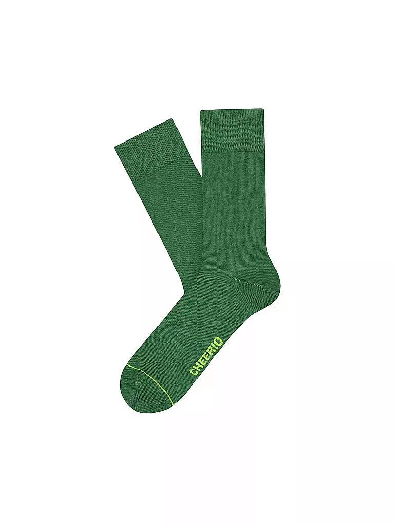 CHEERIO | Socken Best Friend 2-er Pkg. 403 tan green | grün