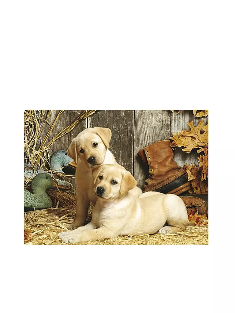 CLEMENTONI | Puzzle - Hunting Dogs 1500 Teile  | keine Farbe