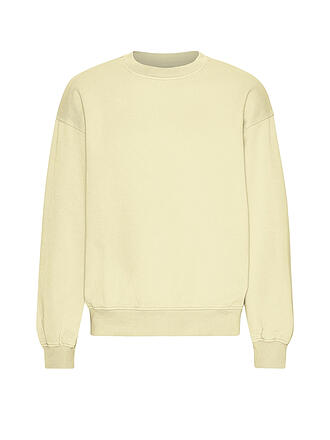 COLORFUL STANDARD | Sweater