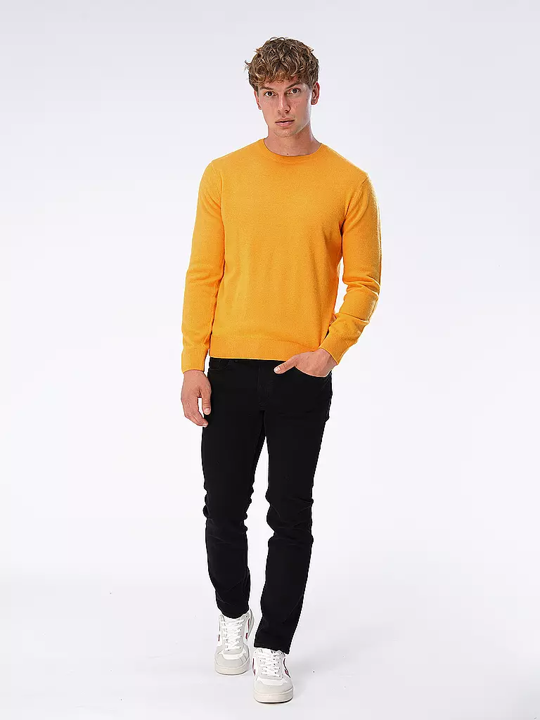 COLORFUL STANDARD | Pullover | gelb
