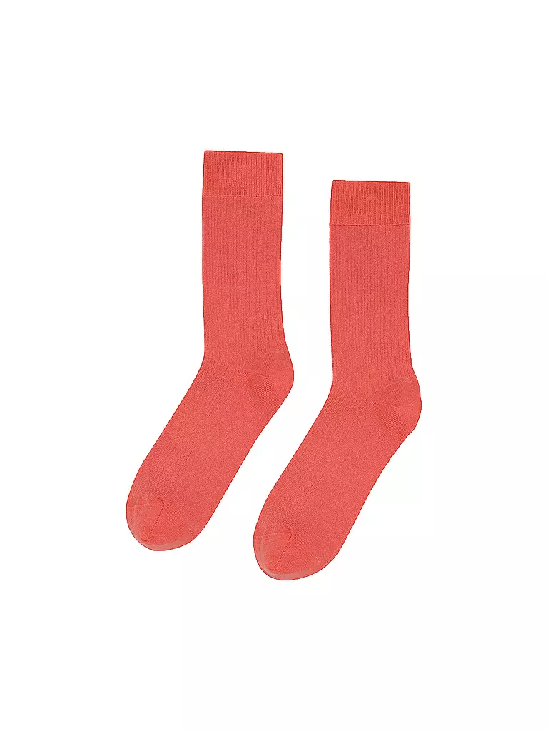 COLORFUL STANDARD | Socken bright coral | koralle