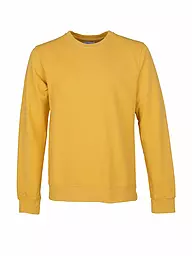 COLORFUL STANDARD | Sweater | gelb