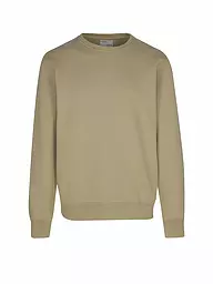 COLORFUL STANDARD | Sweater | beige