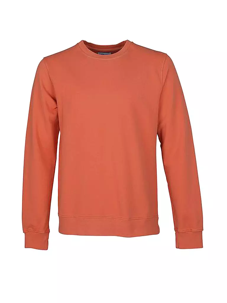 COLORFUL STANDARD | Sweater | orange