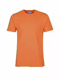 COLORFUL STANDARD | T-Shirt | orange