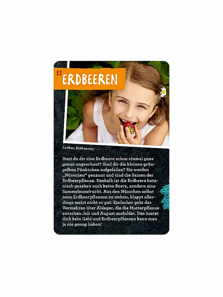 COPPENRATH VERLAG | Buch - 50 Garten-Projekte, Stefanie Zysk | keine Farbe