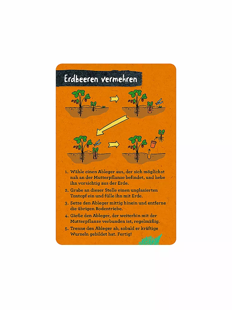 COPPENRATH VERLAG | Buch - 50 Garten-Projekte, Stefanie Zysk | keine Farbe