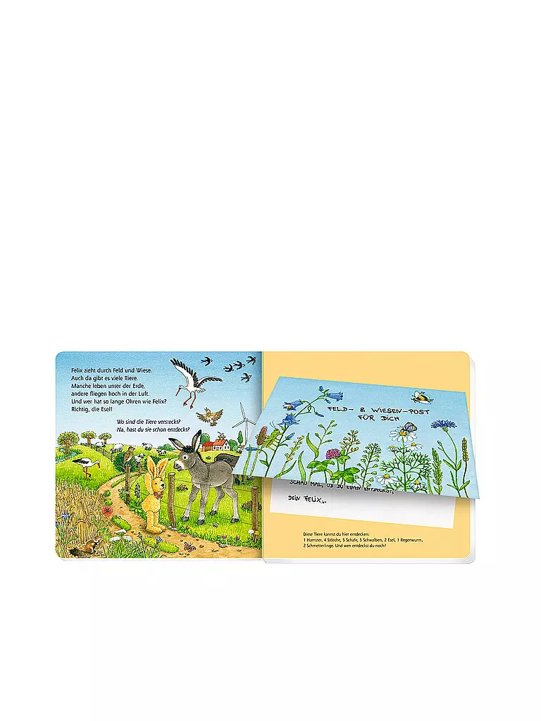 COPPENRATH VERLAG | Buch - Erste Briefe für Tier-Entdecker von Felix, Annette Langen | keine Farbe