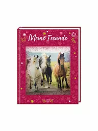 COPPENRATH VERLAG | Stammbuch - Freundebuch - Pferdefreunde | Keine Farbe