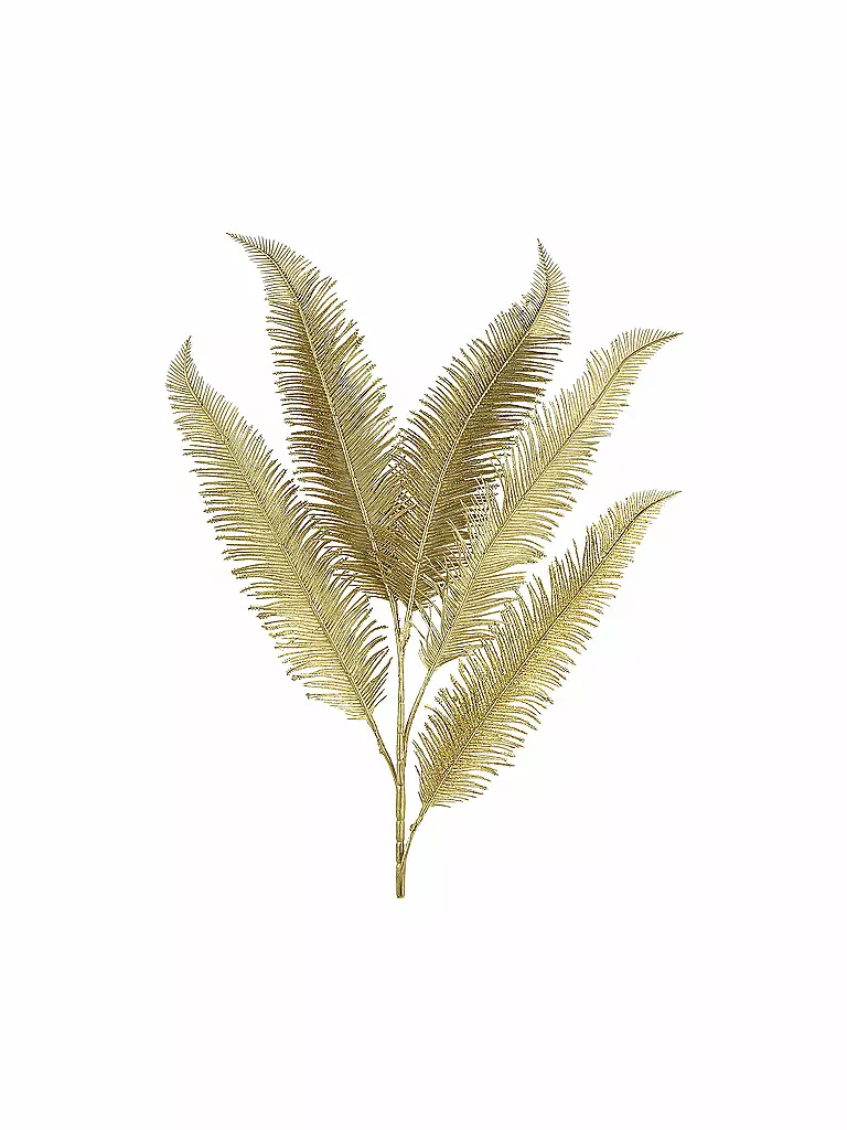 COUNTRYFIELD | Deko Federfarn 82cm Gold | gold