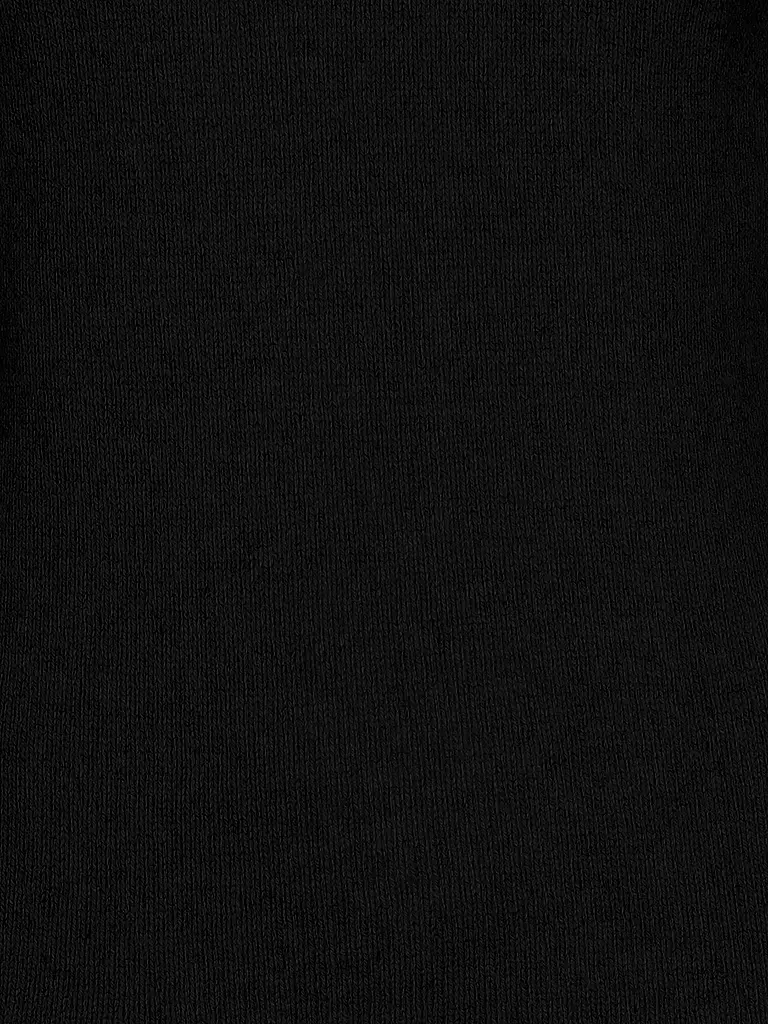 DANIELE FIESOLI | Kaschmir-Pullover | schwarz