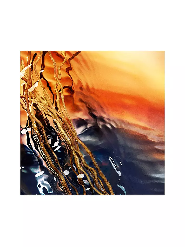 DAVIDOFF | Cool Water Reborn  Eau de Parfum 50ml | keine Farbe