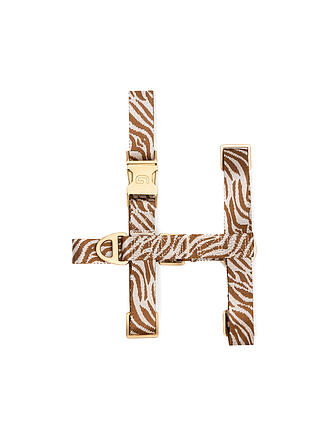 DOGGUO | Hundegeschirr ZEBRA