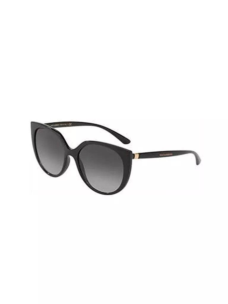 DOLCE&GABBANA | Sonnenbrille DG6119/54 | schwarz