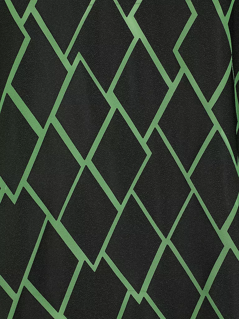 DORIS STREICH | Bluse | grün