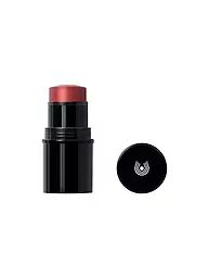 DR. HAUSCHKA | Lip to Cheek (03 Rosewood) | rot