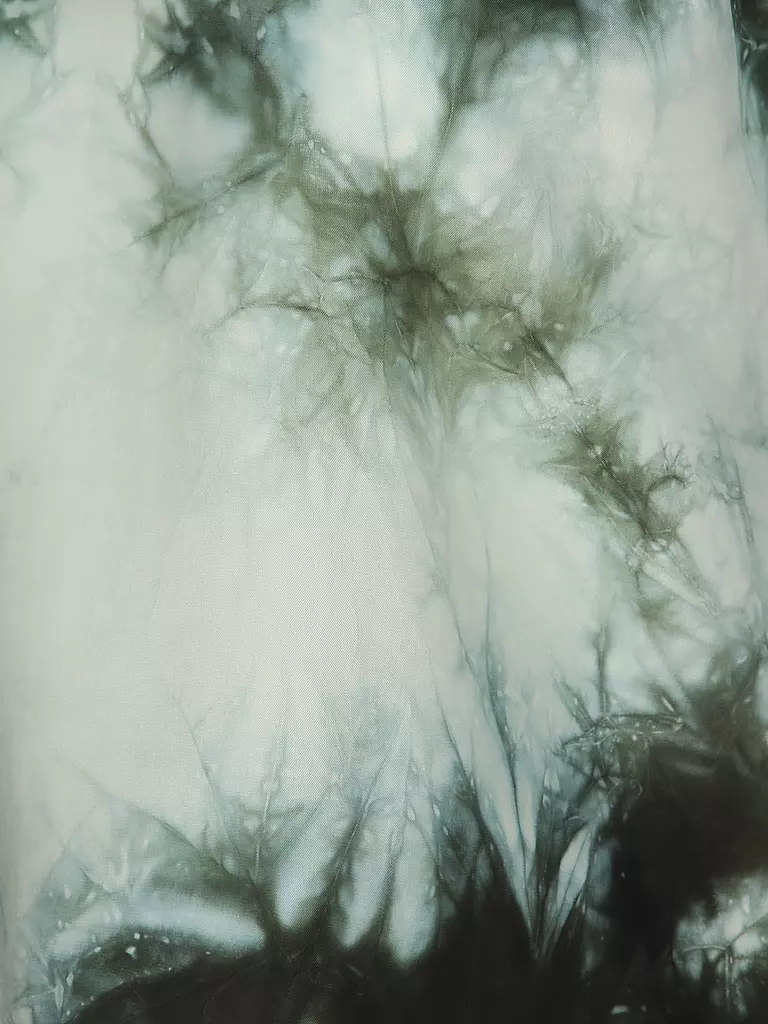 DRYKORN | Bluse ALARIA_1 | Grün