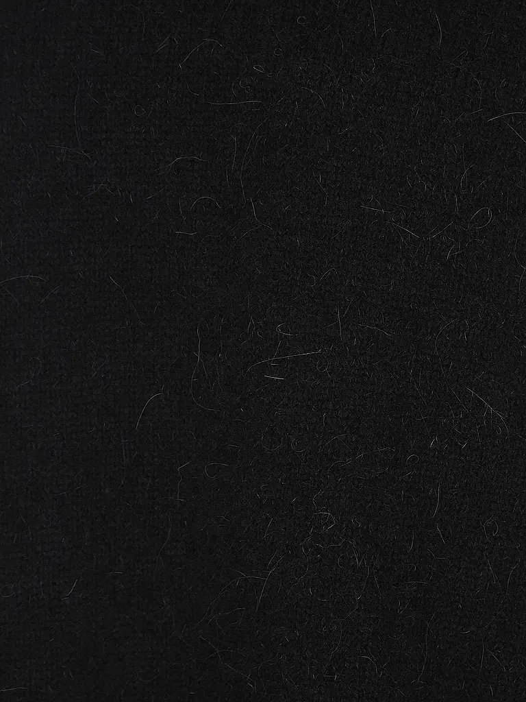DRYKORN | Rollkragenpullover SARWEN 1 | schwarz