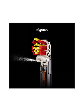 DYSON | Dyson Doppelborsten Bürstenköpfe für empfindliche Zähne 2 Stück Sensitive