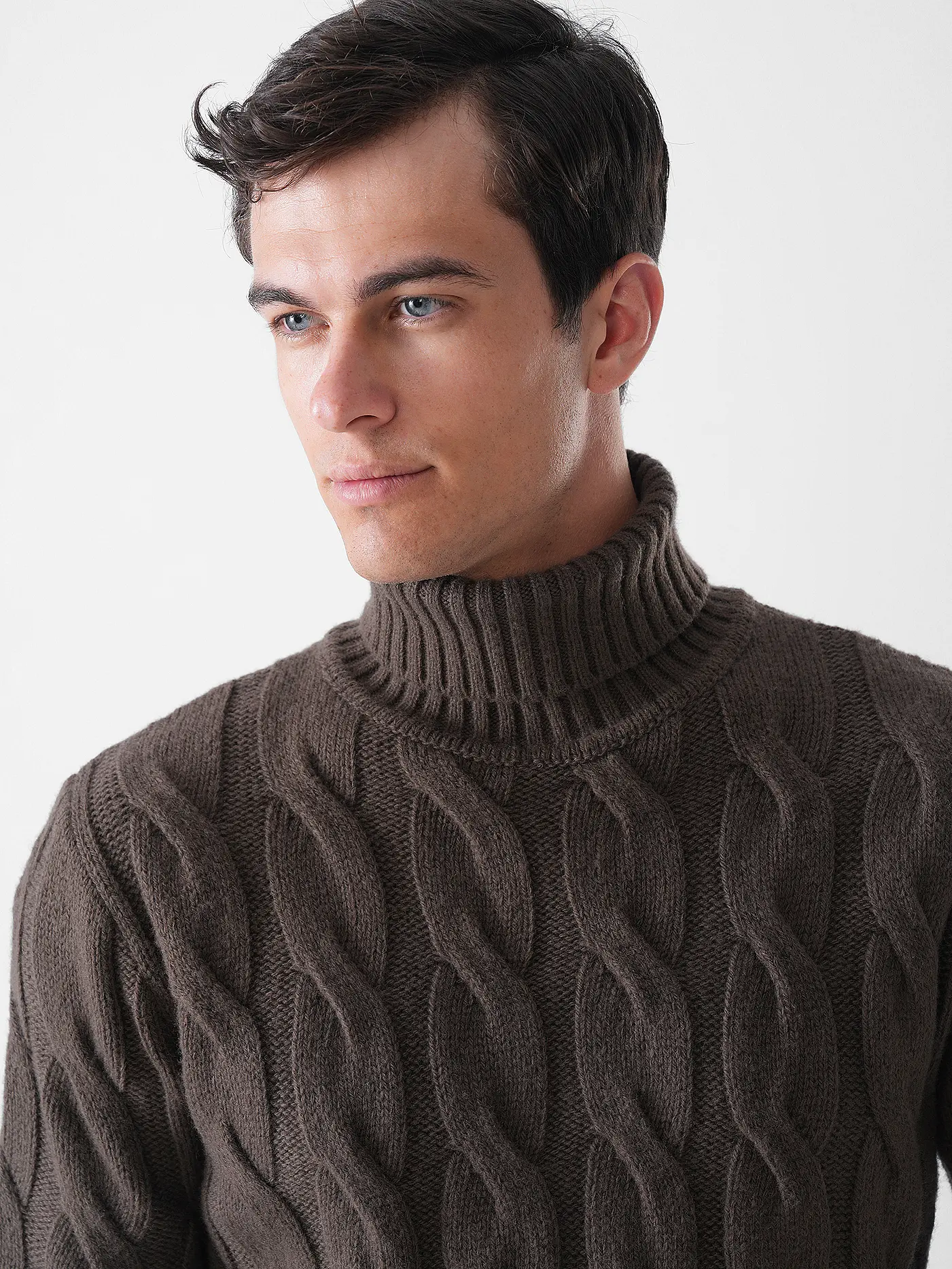 ELEVENTY | Rollkragenpullover  | braun
