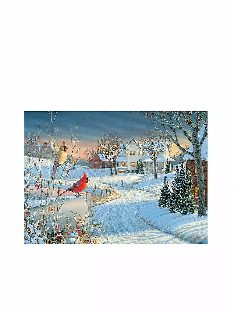 EUROGRAPHICS | Puzzle - Country Cardinals by Sam Timm (1000 Teile) | bunt