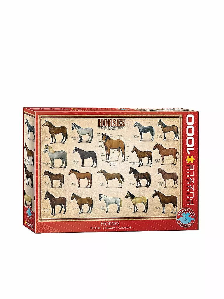 EUROGRAPHICS | Puzzle - Horses 1000 Teile | keine Farbe