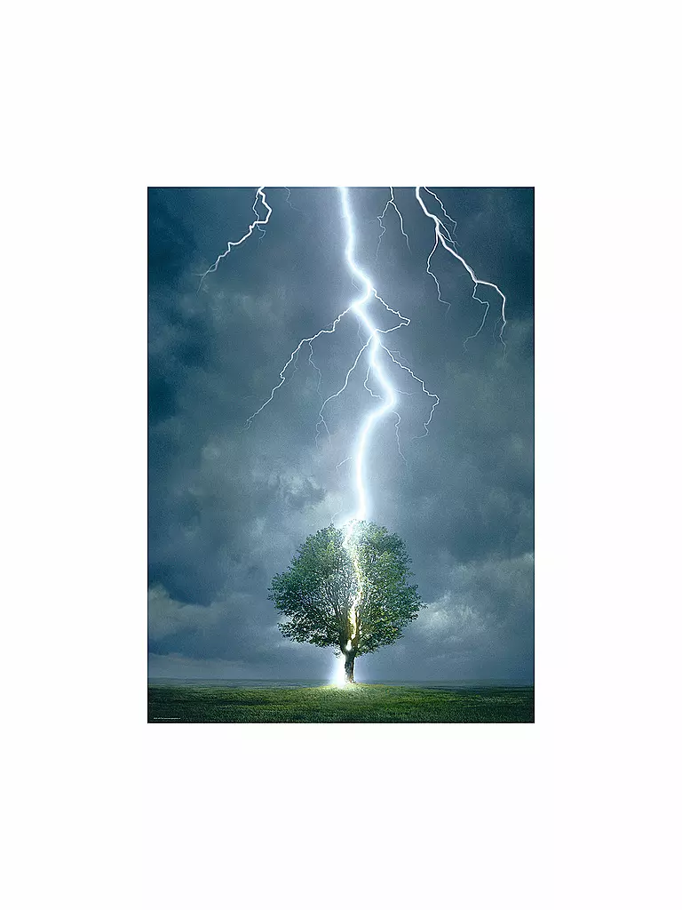 EUROGRAPHICS | Puzzle - Lighting Striking Tree (1000 Teile) | bunt