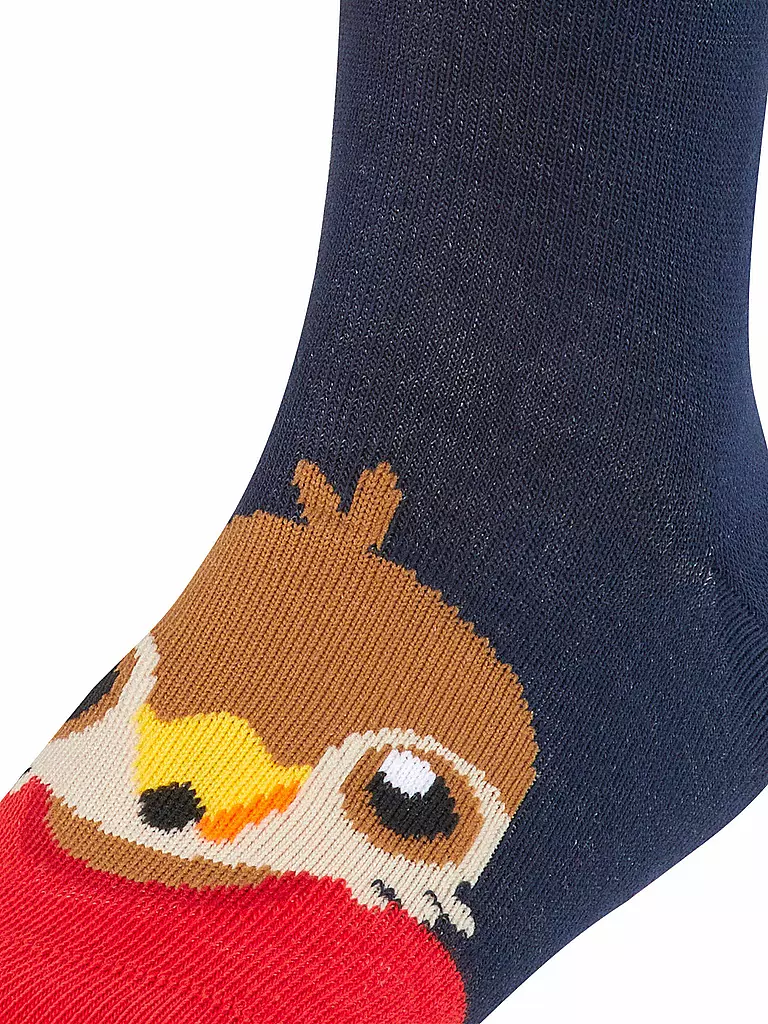 FALKE | Kinder Socken Little Falcon  | blau