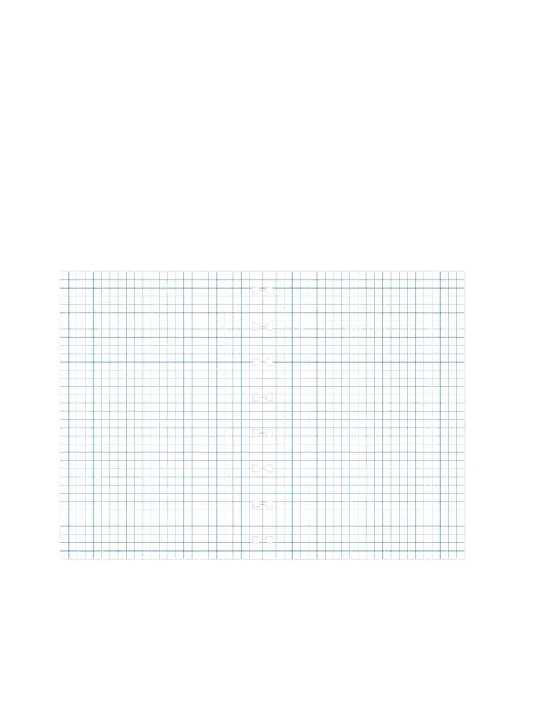 FILOFAX | Filofax Notebook A5 karierte Einlagen | weiss