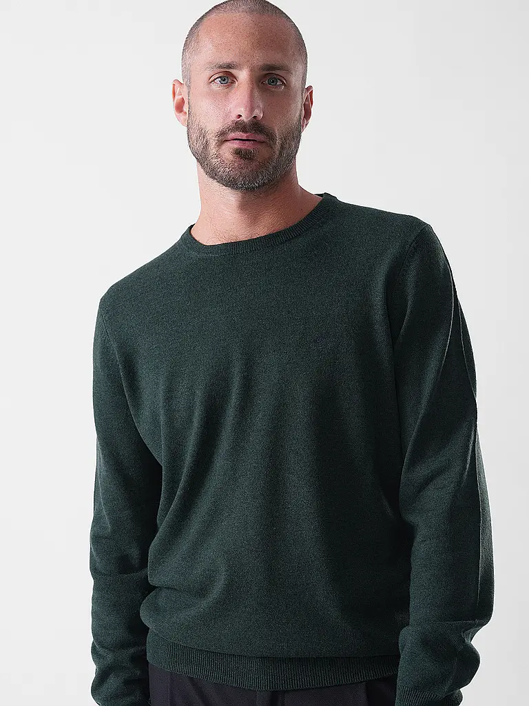 FYNCH-HATTON | Pullover  | dunkelgrün