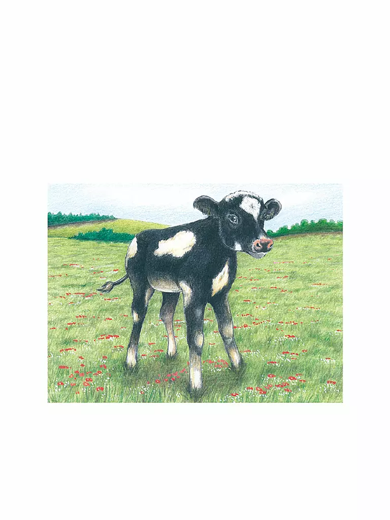GOKI | Würfelpuzzle Bauernhoftiere | keine Farbe